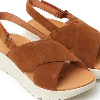 CLARKS
